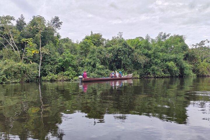 Yacuma Pampas Jungle Tour 3 Days from Rurrenabaque