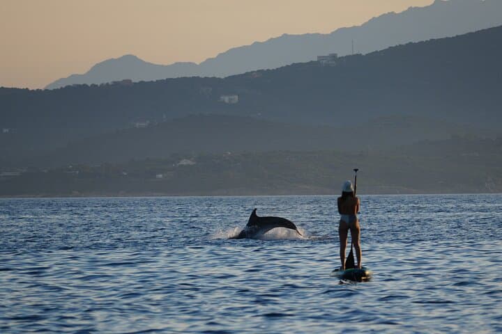Golfo Aranci : SUP & Dolphins, Snorkeling and Photos - Certified Guides