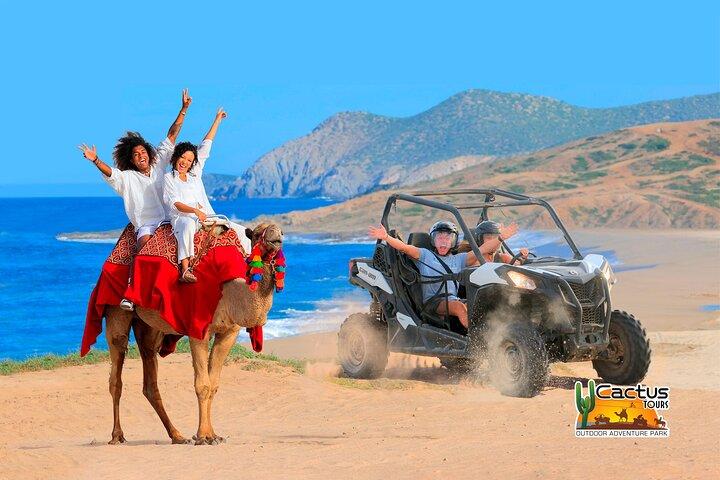 Beach UTV and Camel Ride Combo in Cabo