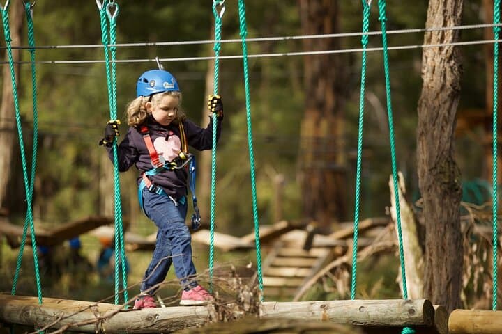 Launceston Hollybank Junior Tree Ropes Course