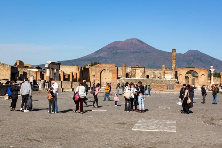 Pompeii Guided Premium Tour From Naples