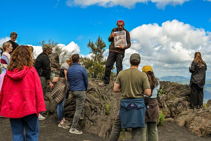 Pompeii & Mt. Vesuvius Elite Tour & Lunch From Naples