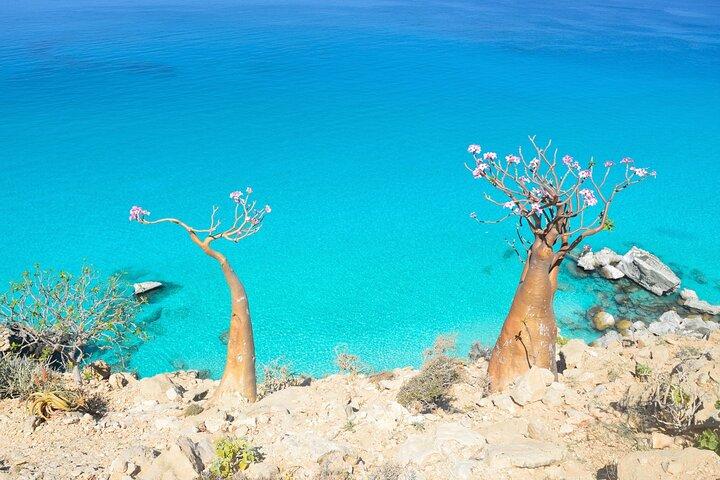8 Day Socotra Island Expedition with Jeep Ride