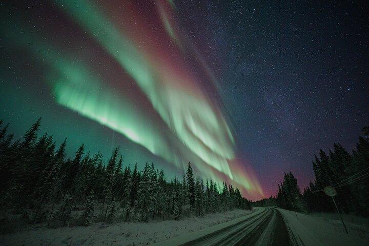 Rovaniemi: 100% Money-Back Guarantee Aurora Tour + Free Photos