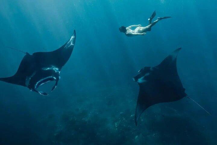 Start at Nusa Penida, Snorkeling Manta Rays & Land Tour