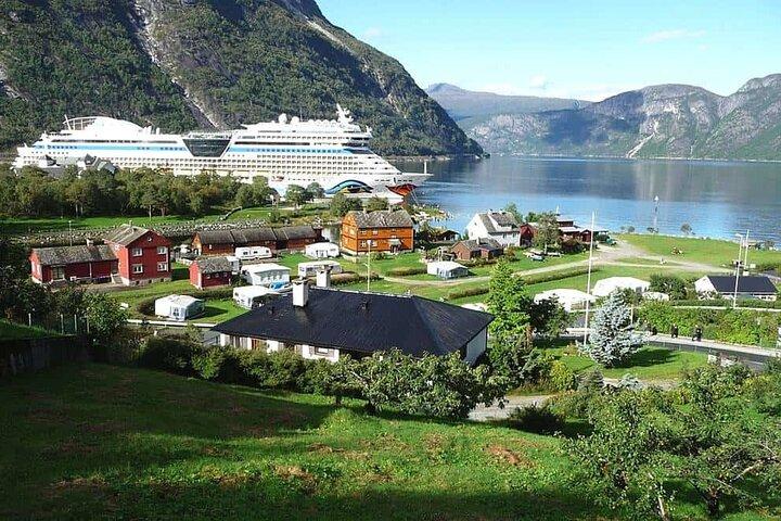 Eidfjord Shore Excursion with Scenic Adventure