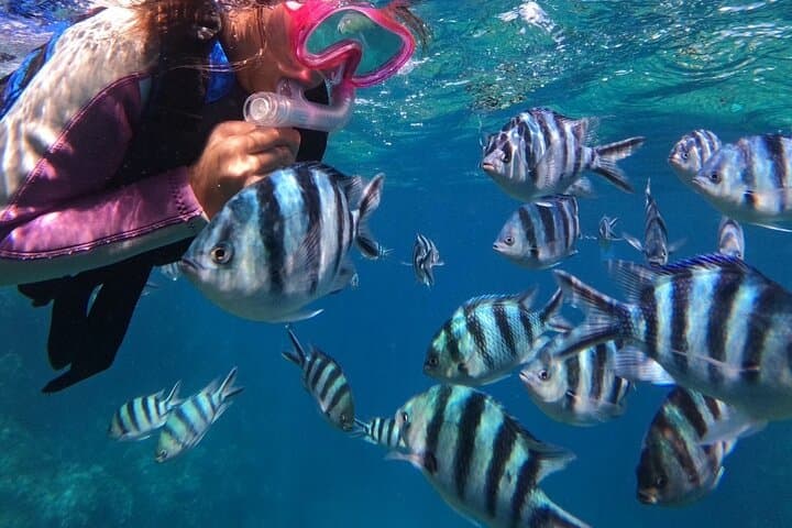 Blue Cave & Tropical Fish Private Snorkeling ！Free Photo Gift