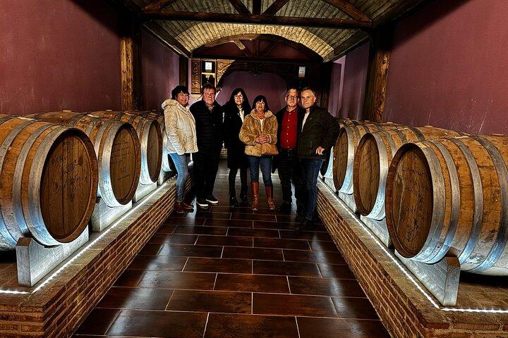 Alicante; Winery visit with two Oil and Fondillón Museums