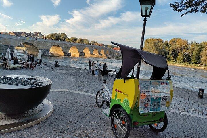 Regensburg Rickshaw Pedicab City excursion 60min