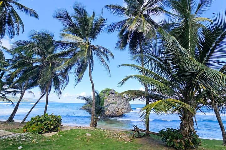 Barbados: Private Island Tour - A Fully Customizable Experience