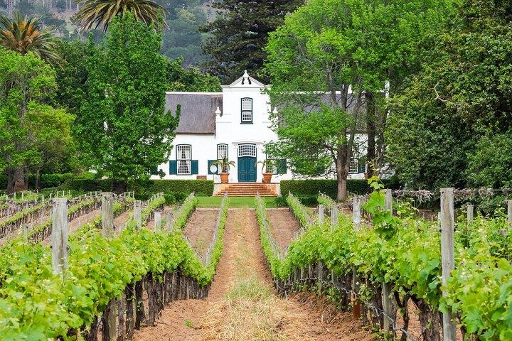 Uncork the Cape : Stellenboch Half Day Wine Tour