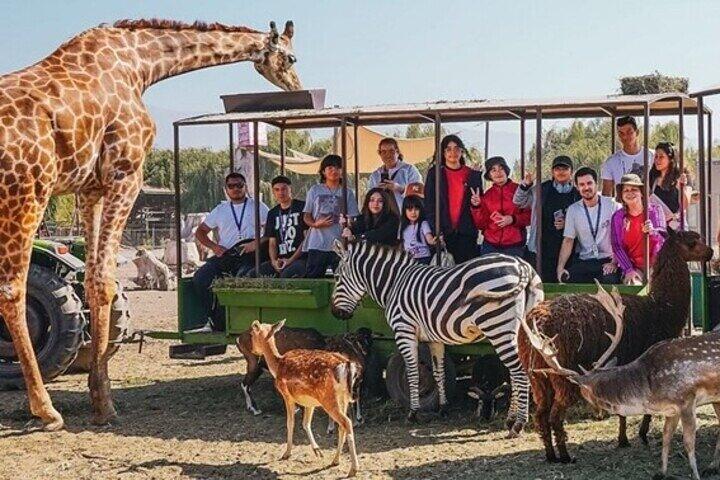 Safari Park Full Day Experience