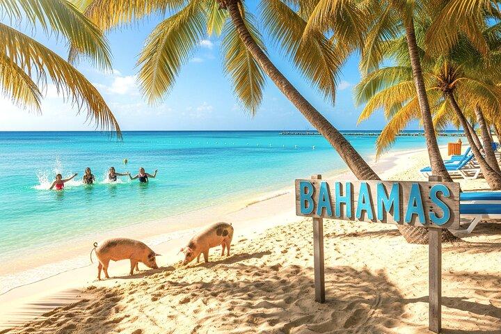 Bimini or Grand Bahama Island Day Cruise
