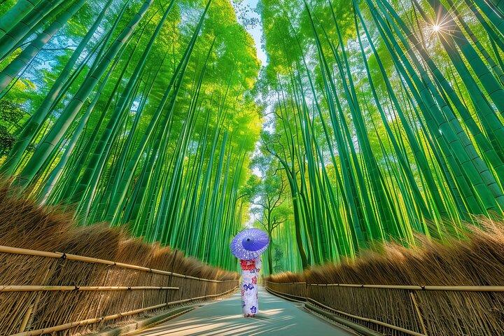 From Kyoto / Osaka: Kyoto Must-see Spots & Nara Park One Day Tour