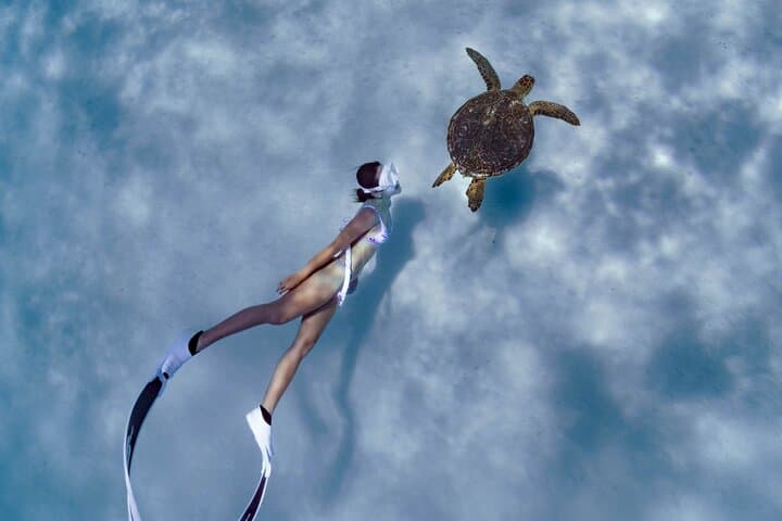Private snorkeling tour on Ishigaki -Up to 4 People, Flat Rate-