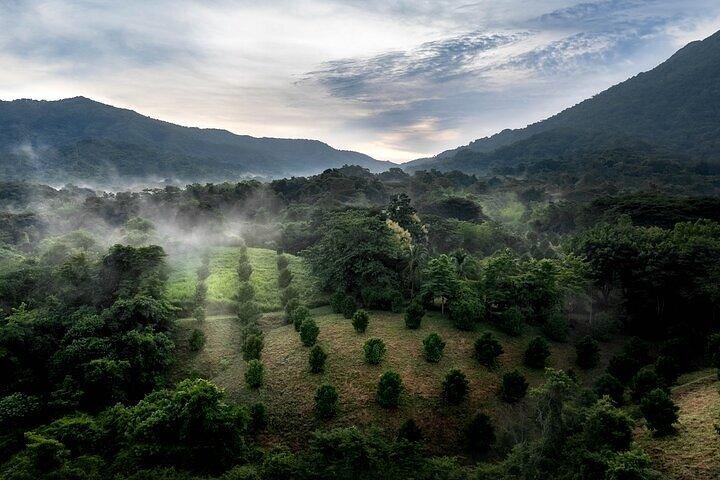 From Huatulco : Exotic garden on ecotourist ranch