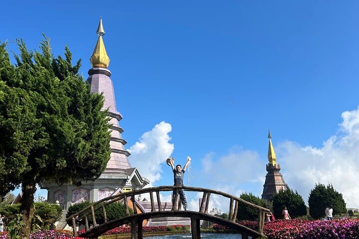 ChiangMai 1DayTour:Elephant Sanctuary,king&queen pagoda,waterfall