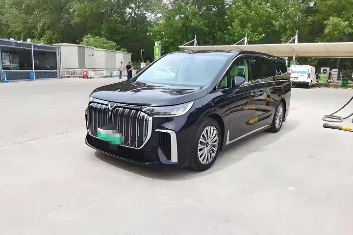 Shanghai Private Rental Car with English Driver