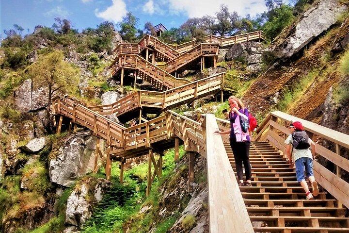 From Porto: Aveiro, Paiva Walkways, Suspension Bridge and Lunch