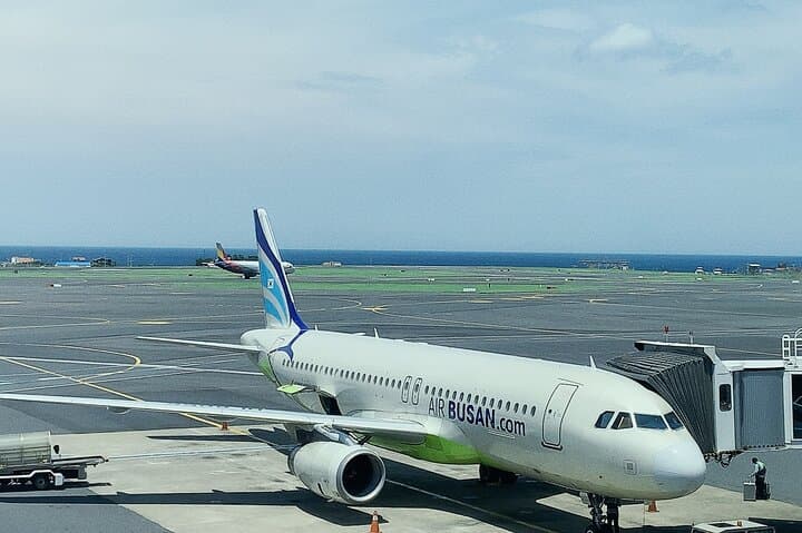 Perfect for Layovers！Taipei &Taiwan Airport Pickups & City Tours！