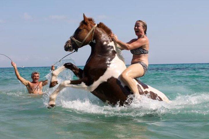 Zakytnhos Horse Riding Swimming Experience