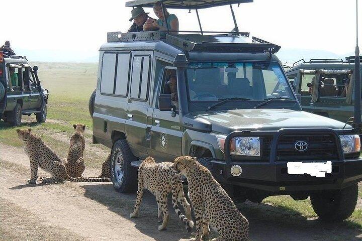 Masai Mara Transfer From Nairobi on 4x4 Toyota Land Cruiser