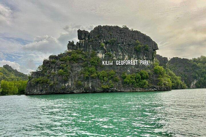 3 Hours Mangrove Boat Tour in Langkawi