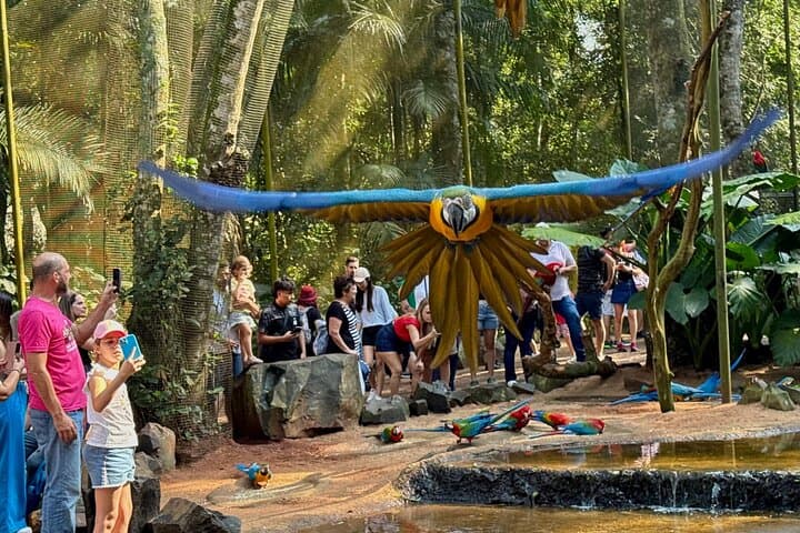Iguazu Falls Brazil and Argentina 2 Days Tour