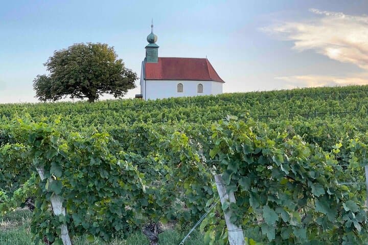 Wine art in perfection Burgenland icon wines
