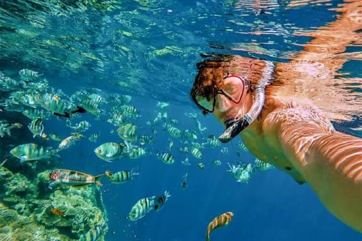 Snorkeling San Jose del cabo, lunch, open bar