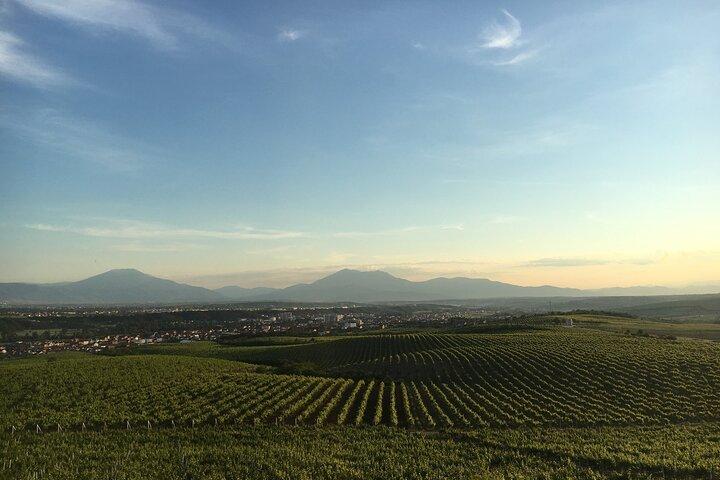 Kosovo Highlights in a Day Pristina, Prizren and Wine Finale