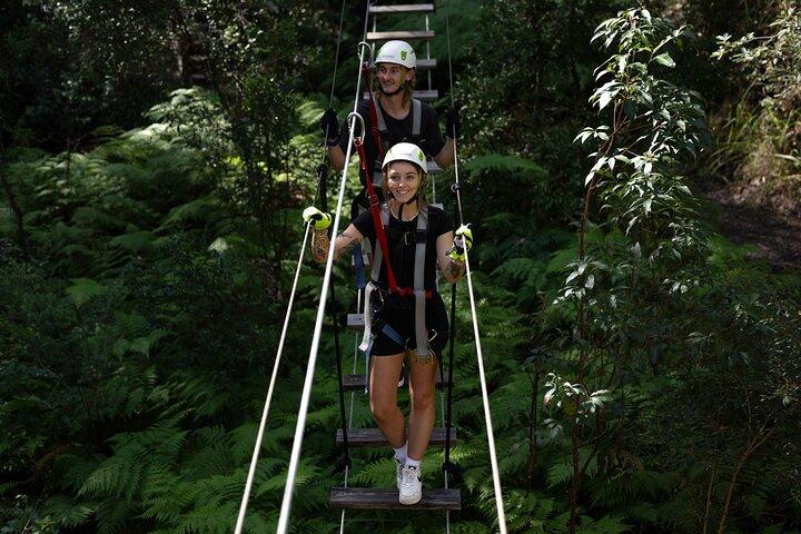 Tamborine Mountain High Ropes and Zipline Adventure Park