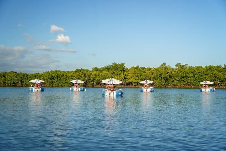Denarau Self-Drive BBQ E-Boat Cruise Price Per Boat (2–6 Guests)