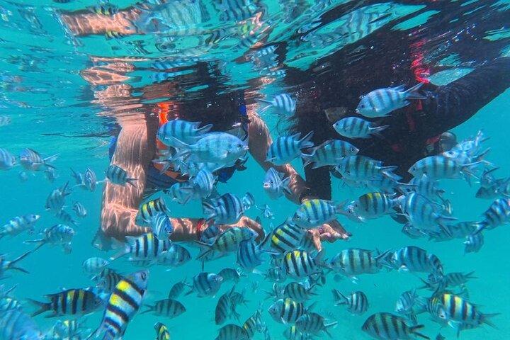 Bintan Snorkeling Adventure at Trikora Beach