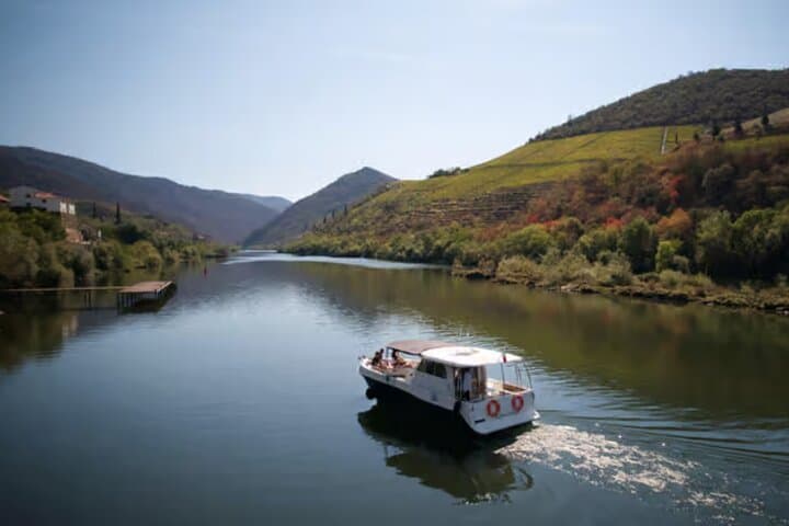 Douro River Cruise from Pinhão with Scenic Train Return