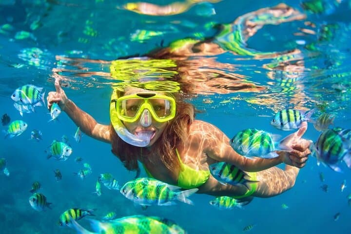 Half-Day Snorkeling & Kayaking Tour at Daymaniyat Islands Oman