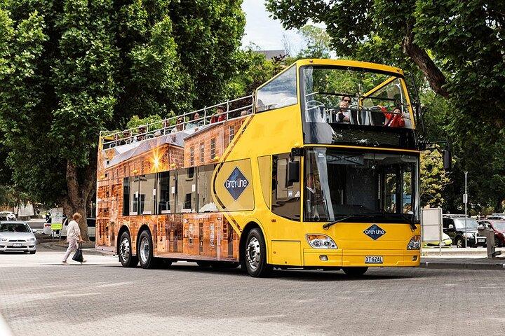 Hobart Shore Excursion-Open Top City Explorer Tour 1.30pm