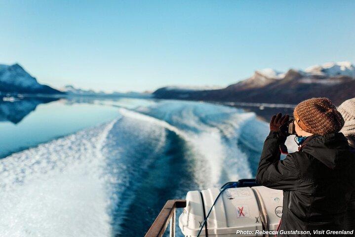 Nuuk Fjord Boat Tour with Greenlandic Picnic Experience
