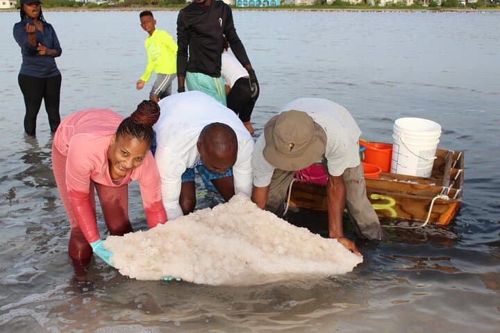 Cultural Salt Picking Experience in Anguilla