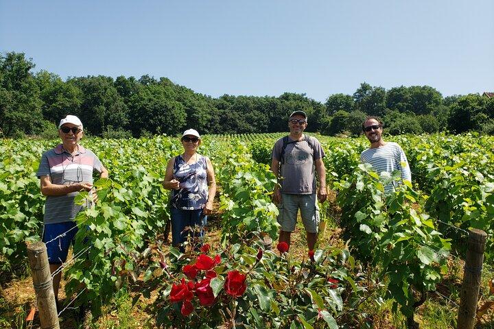 Private tour in Burgundy with your professional guide!