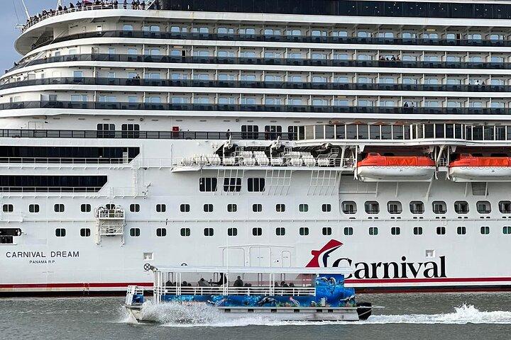 Galveston Historical Harbor Cruise with Dolphins