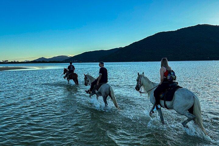Florianópolis Horse Riding in Unique Scenery