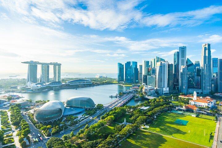 Singapore Private Customized City Tour with Driver
