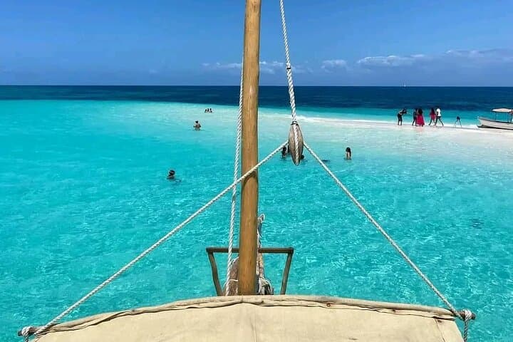 Private Half Day Dolphins and Snorkeling in Mnemba