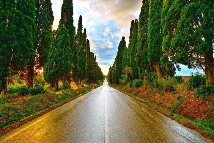 Livorno Experience Coast Tour and Wine Tasting