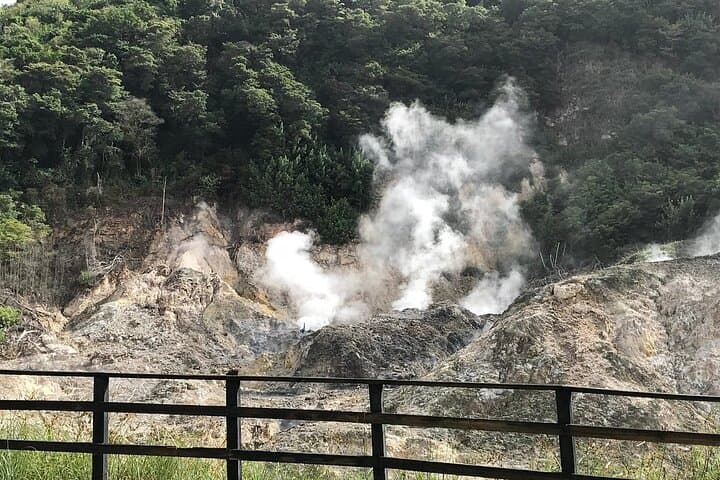 Sulphur Springs Mud Bath Volcano Tour and Waterfall with Lunch