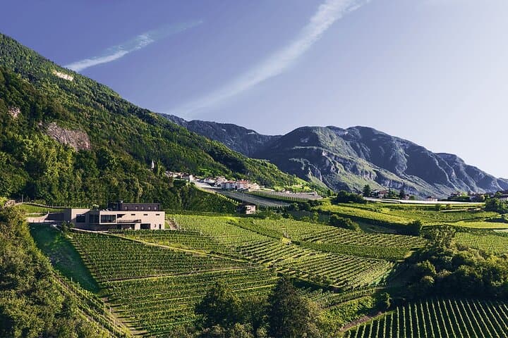 Private cellar tour and wine tasting at Pfitscher Winery.