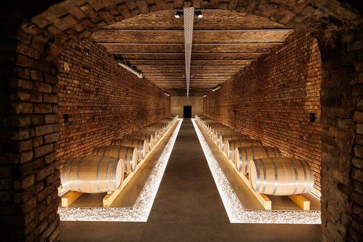 Wine tour and Wine tasting