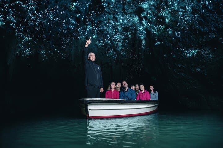Auckland: Te Puia Rotorua & Waitomo Caves Small Group with Lunch