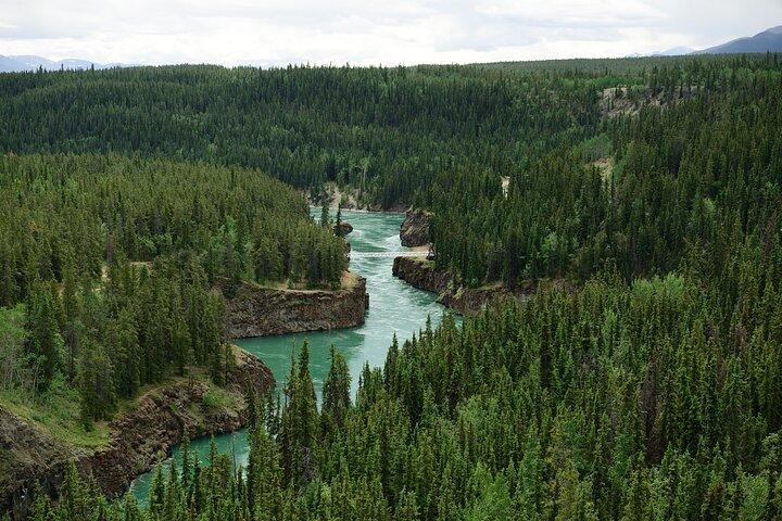 Yukon River Boat Tour Through Miles Canyon
